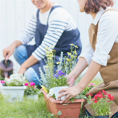Gardening Chat.png