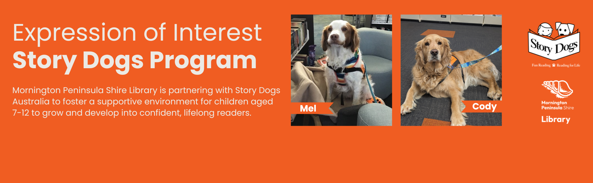 StoryDogs web banner (1).png