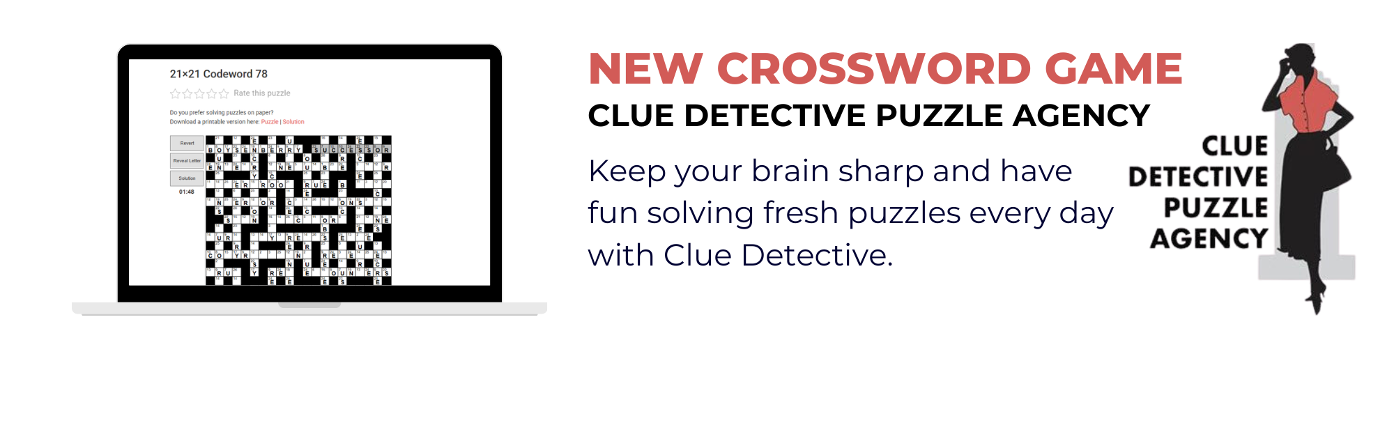 Website Banner - Clue Detective Puzzle Agency (1).png