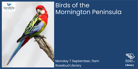 Birds of the MP ROS.png