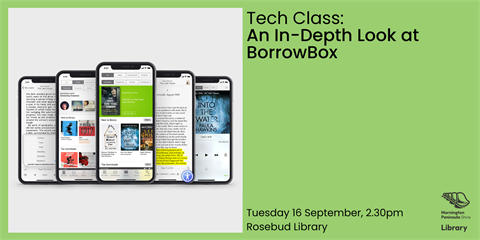 BorrowBox In Depth.png