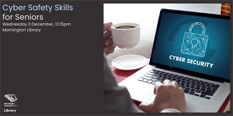 Cyber Safety Skills DEC.png