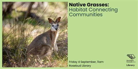 Native Grasses ROS.png